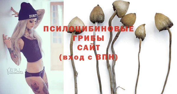 spice Алексин