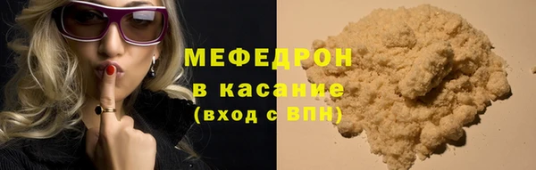 индика Протвино