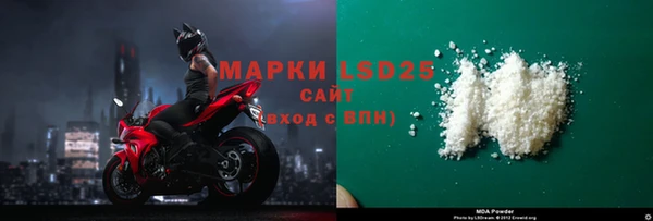 прущие грибы Абдулино