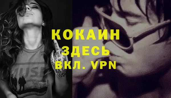 ГАЛЛЮЦИНОГЕННЫЕ ГРИБЫ Абаза