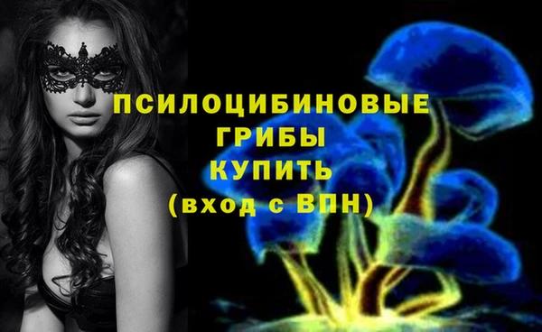 гидропоника Пролетарск
