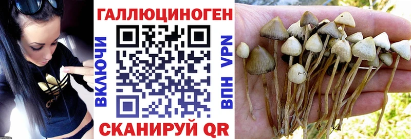 Псилоцибиновые грибы Magic Shrooms  закладка  Игарка 